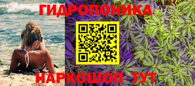 трава Донецк