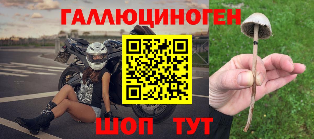 Псилоцибиновые грибы прущие грибы  Псилоцибиновые грибы Cubensis  Михайловск  Вход с VPN 
